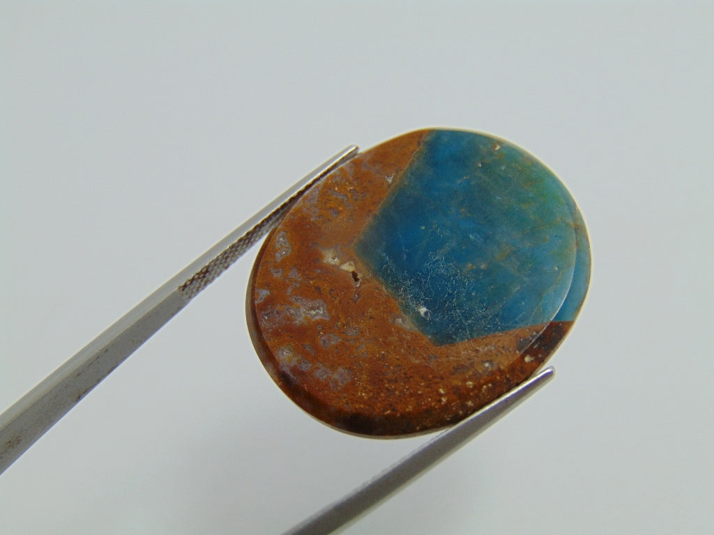 22.20ct Jasper with Apatite 28x25mm