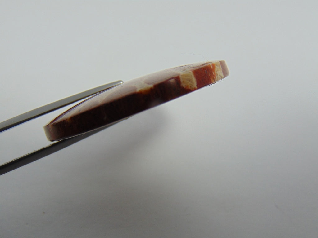 81ct Pedra Petoskey 40mm