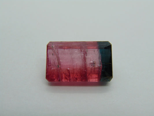 22.75ct Turmalina Bicolor 21x13mm