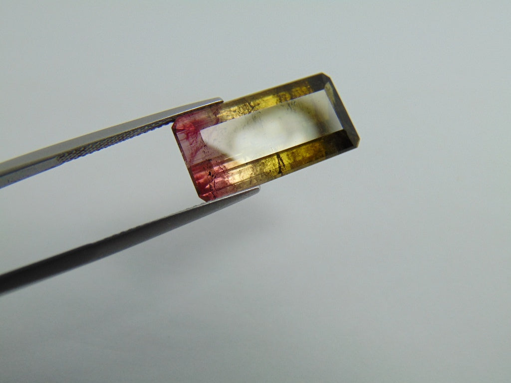 12.78ct Tourmaline Bicolor 21.5x10.5mm