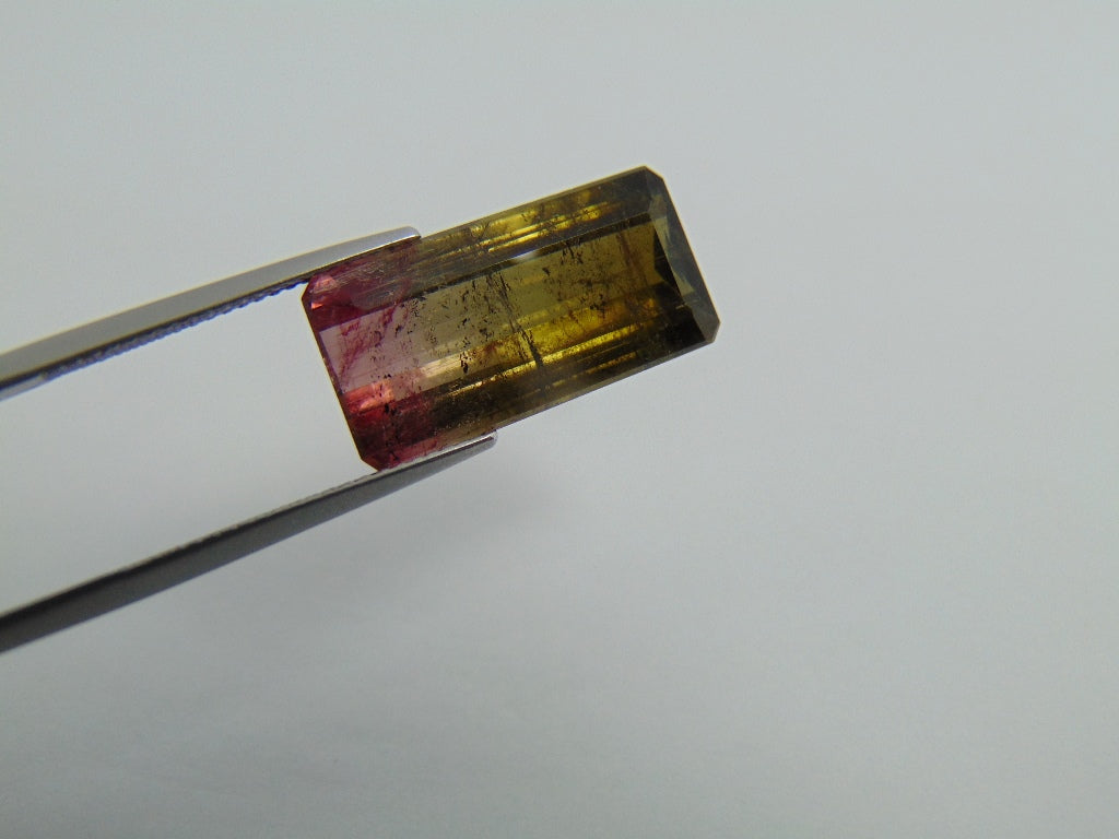 12.78ct Tourmaline Bicolor 21.5x10.5mm