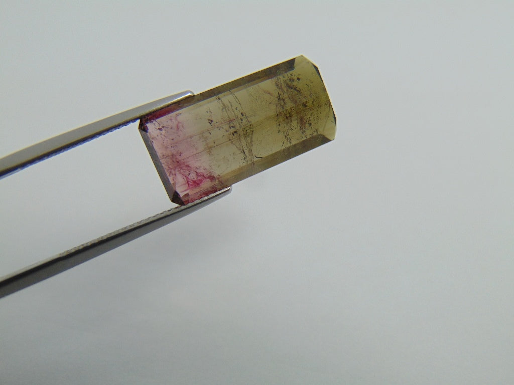 12.78ct Tourmaline Bicolor 21.5x10.5mm