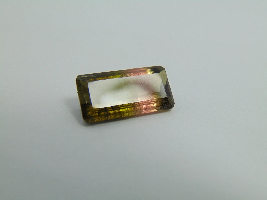 13cts Tourmaline (Bicolor)