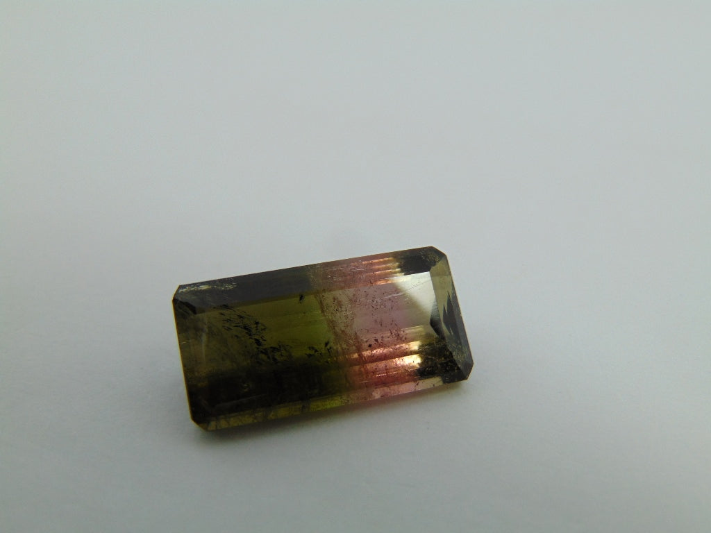 13cts Tourmaline (Bicolor)