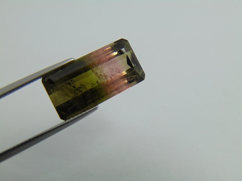 13cts Tourmaline (Bicolor)