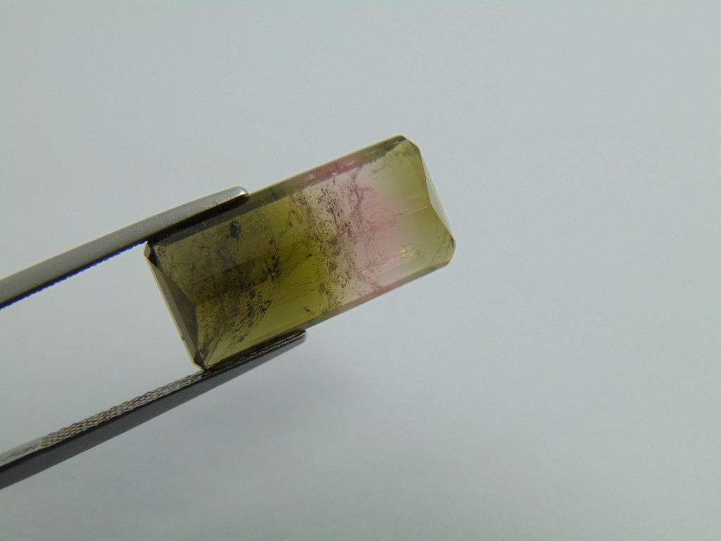 13cts Turmalina (Bicolor)