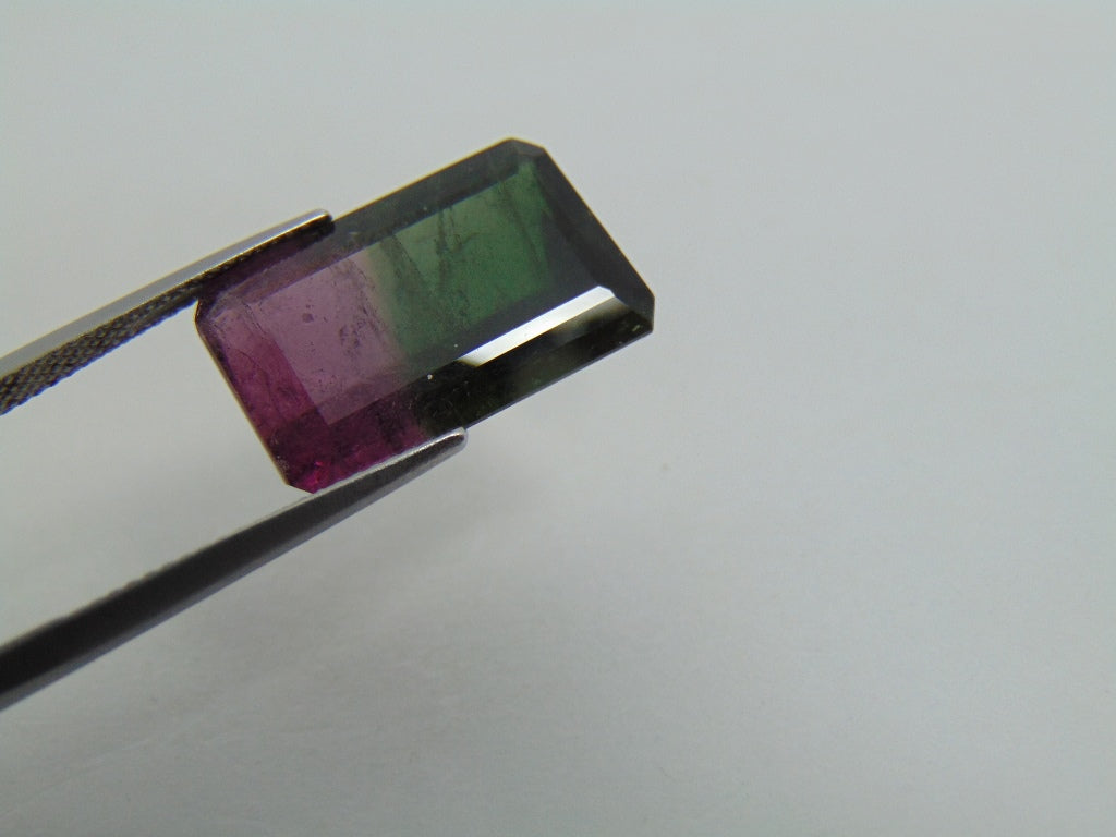 16,70cts Turmalina (Bicolor)