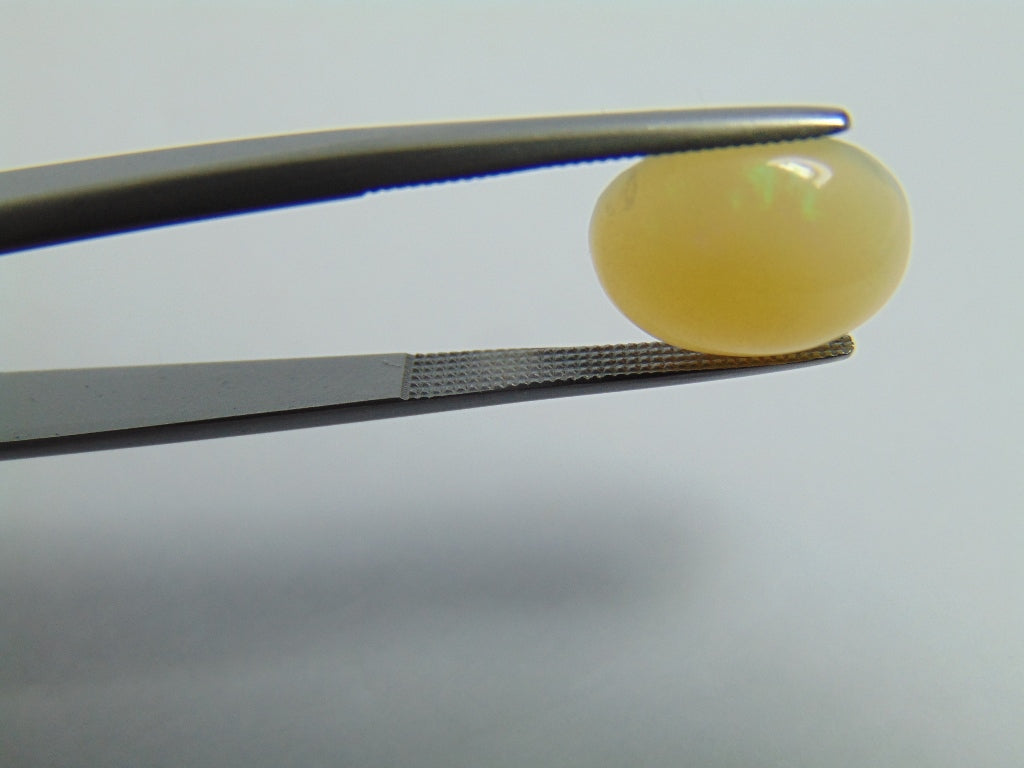 Opala Nobre 3,20ct 13x9mm