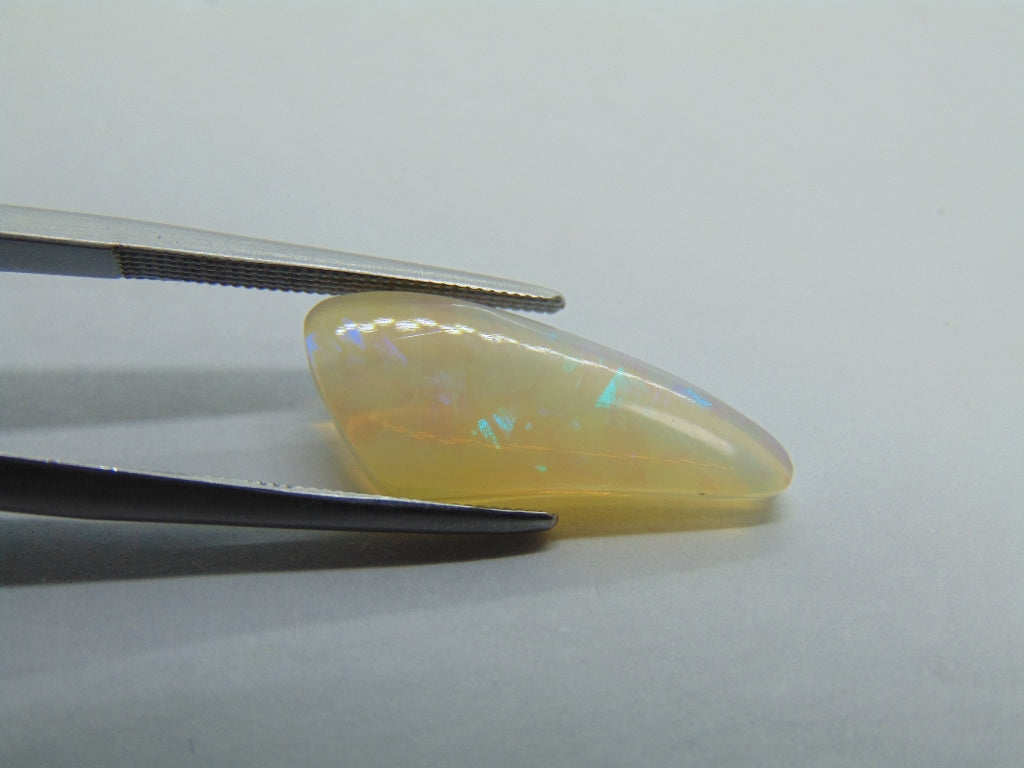 Opala Nobre 3,69ct 20x8mm