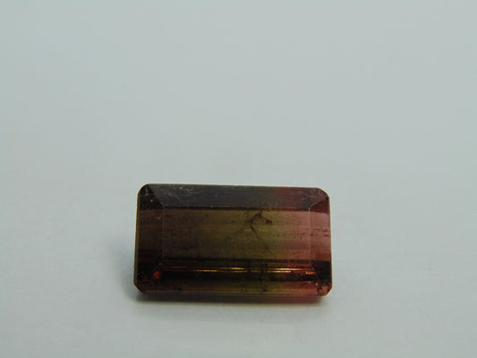 17,15cts Turmalina (Bicolor)