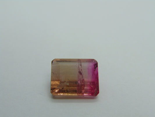 9.80cts Tourmaline (Bicolor)