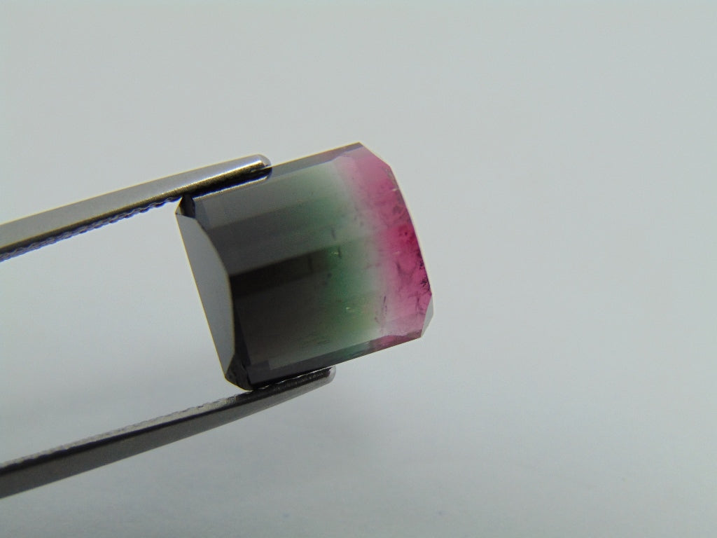 9.70cts Tourmaline (Bicolor)