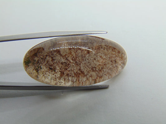 40.40ct Lodolite 31x16mm