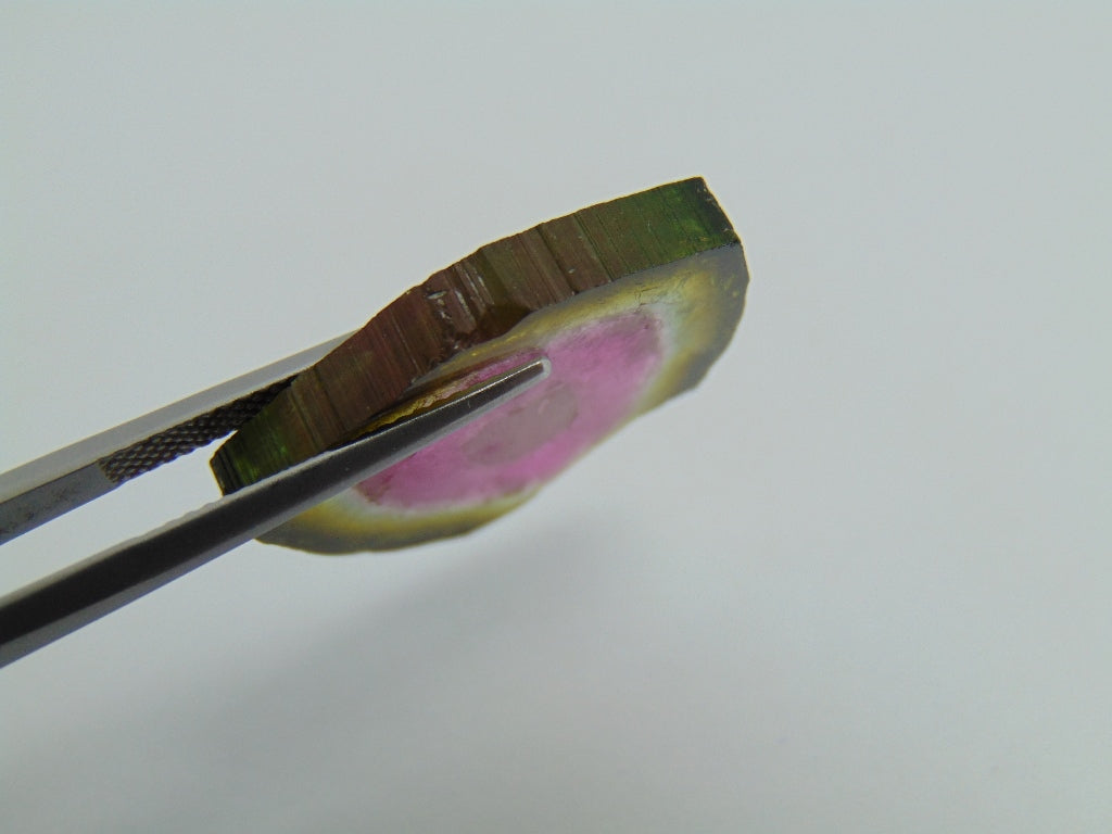 23.20ct Watermelon Tourmaline 24x23mm