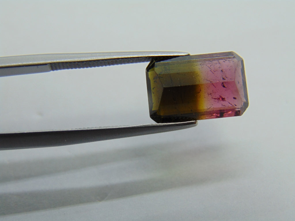 Turmalina Bicolor 5,25ct 13x8mm