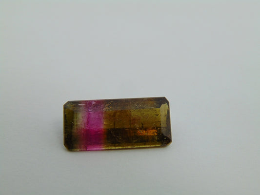 12.20cts Tourmaline (Bicolor)