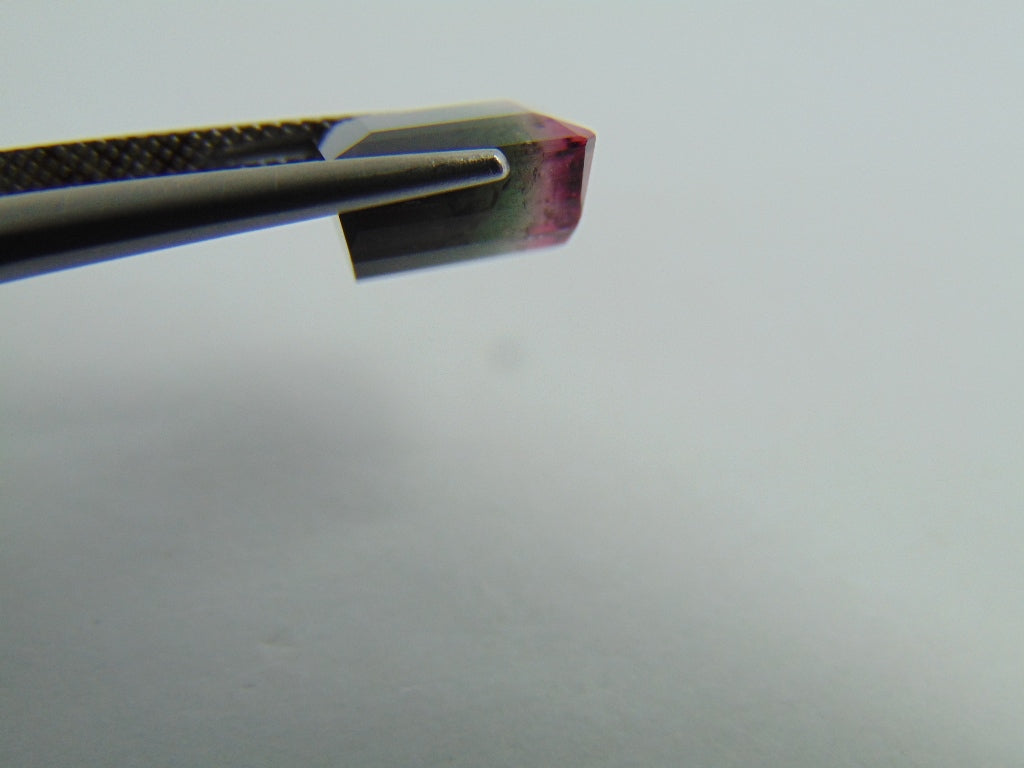 5,99cts Turmalina (Bicolor)