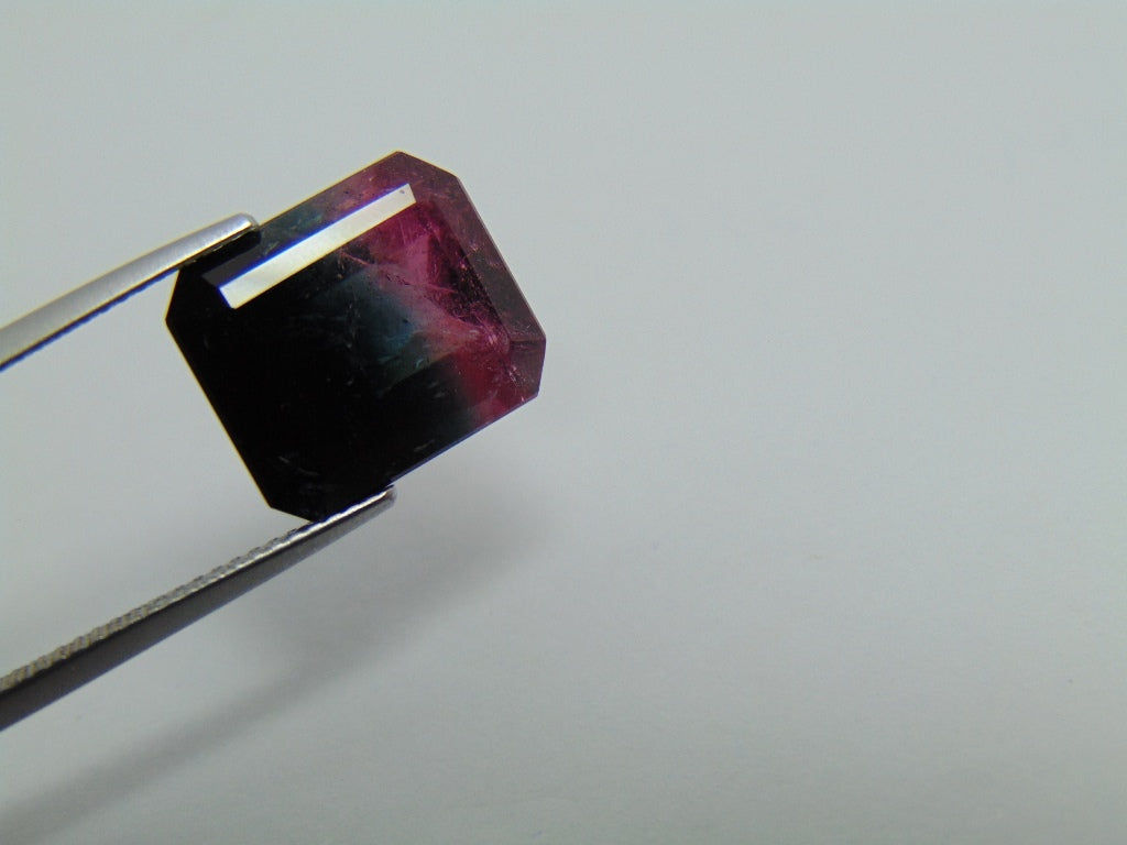 9,10cts Turmalina (Bicolor)