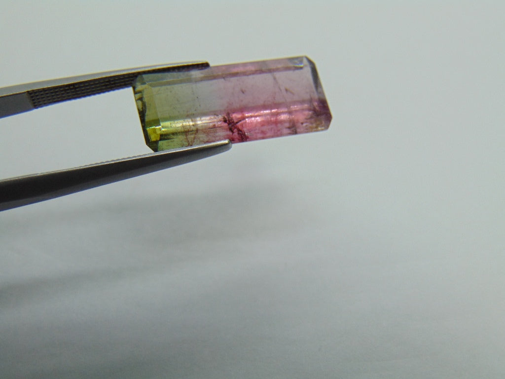 7,95cts Turmalina (Bicolor)