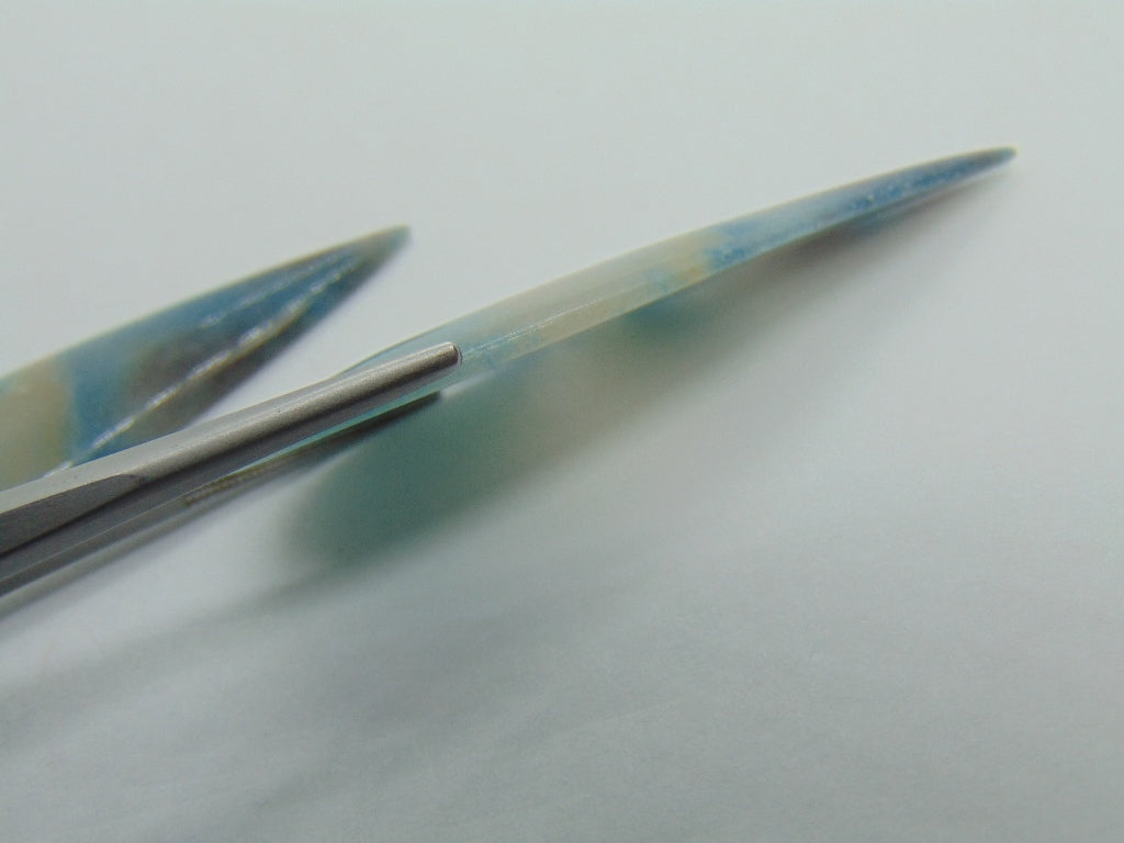 45.40cts Troilite (Pair)