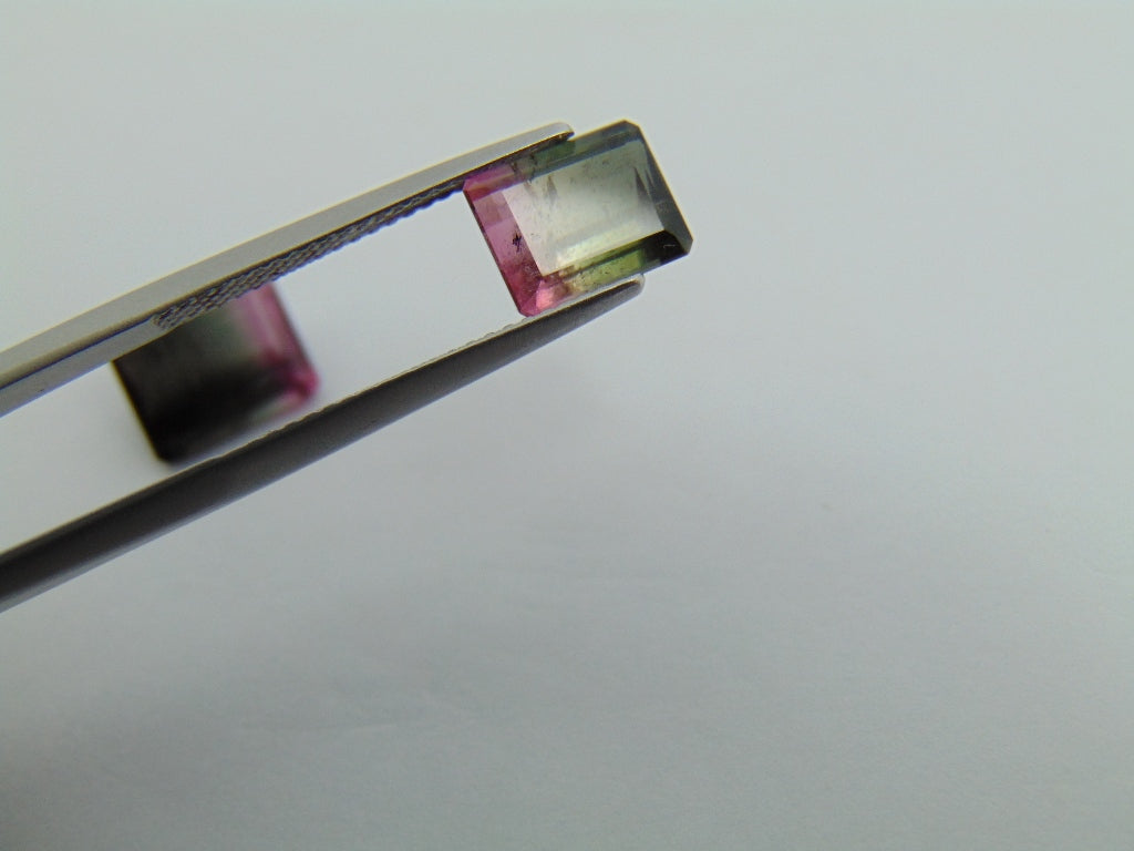 6.25cts Tourmaline (Bicolor)