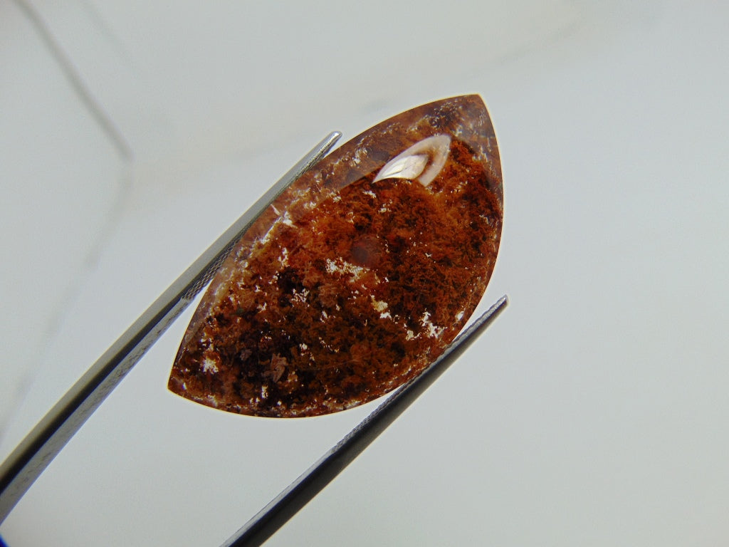 Lodolita 37,30 ct 37x19mm