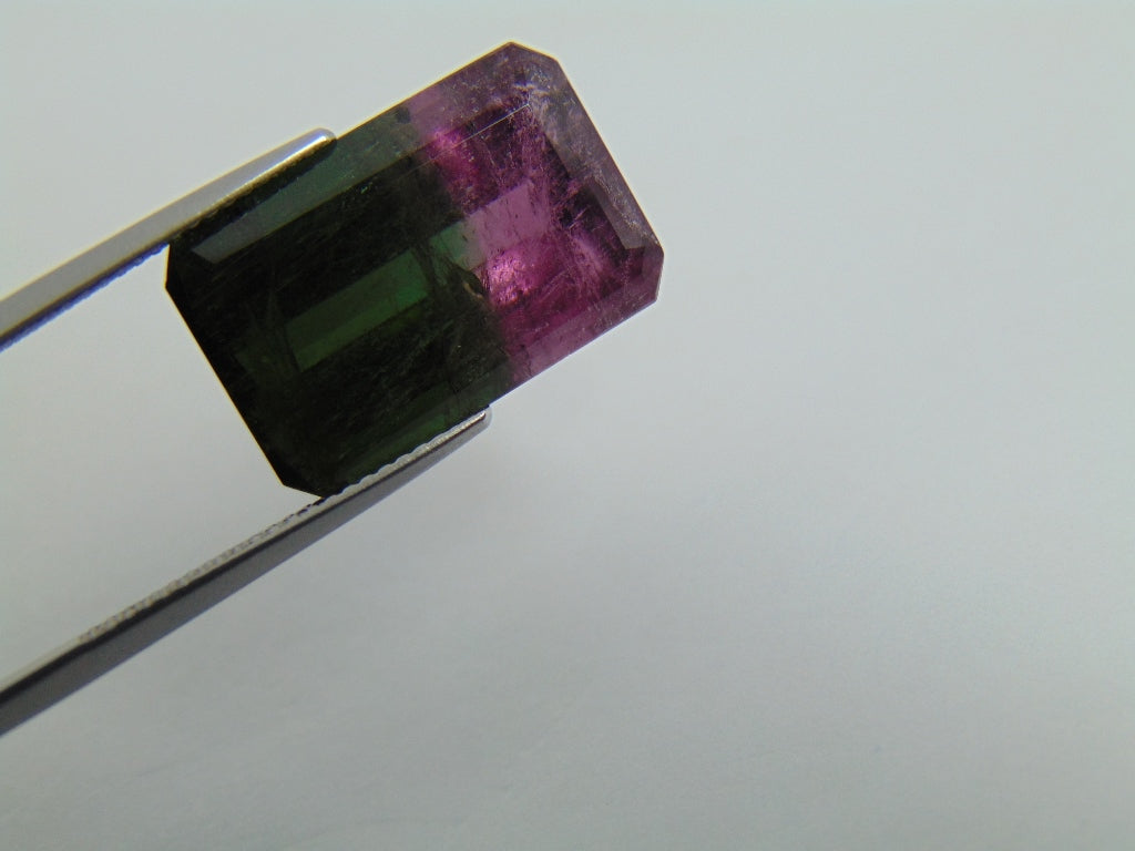 18.40cts Tourmaline (Bicolor)
