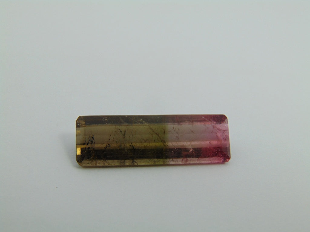 16cts Tourmaline (Bicolor)