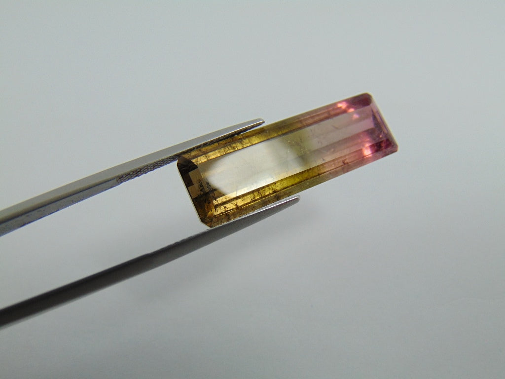 16cts Tourmaline (Bicolor)