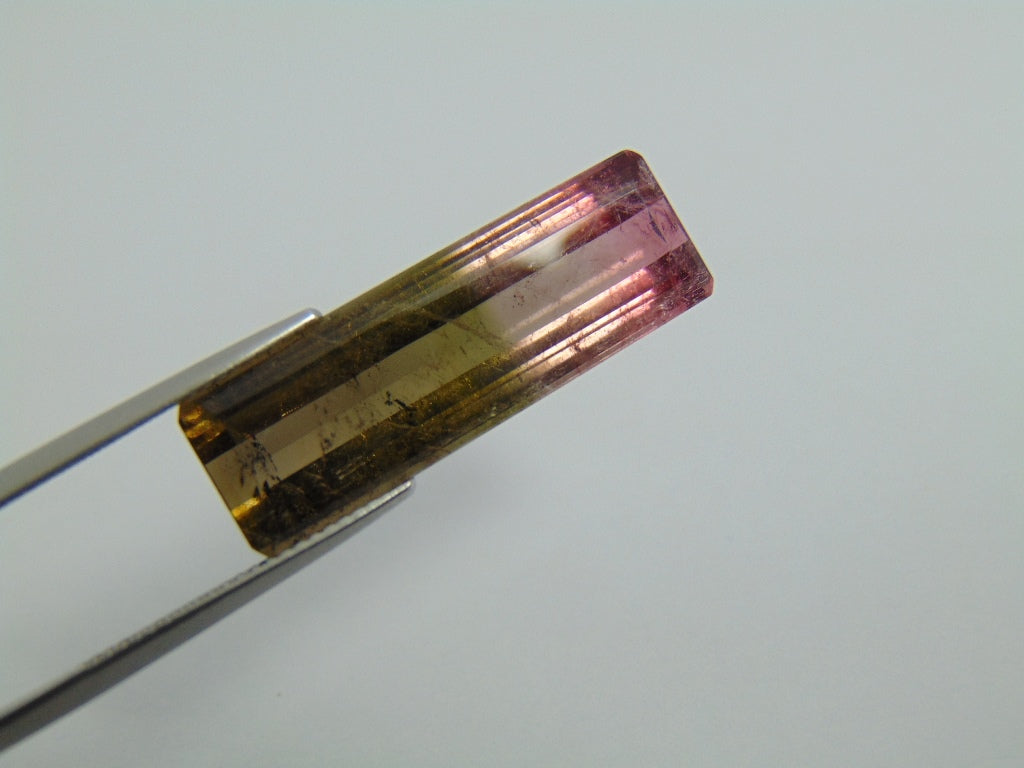 16cts Tourmaline (Bicolor)