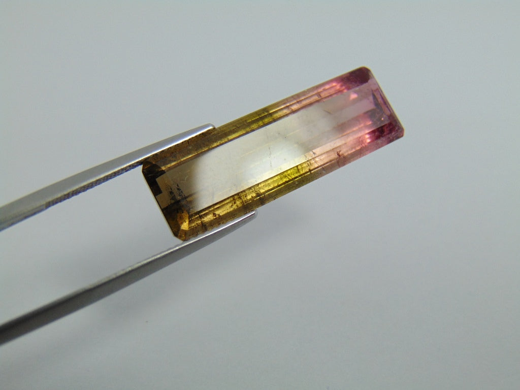 16cts Tourmaline (Bicolor)