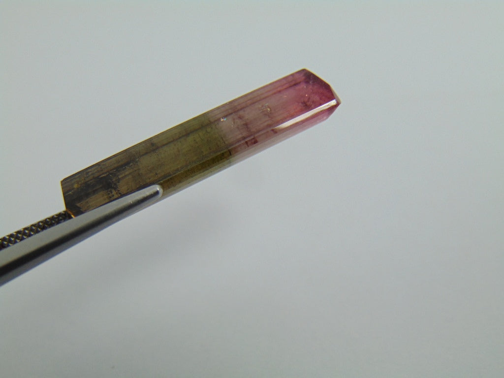 16cts turmalina (bicolor)