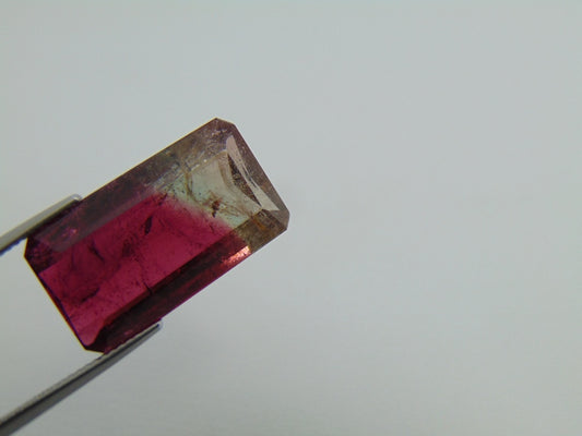 23.20cts Tourmaline (Bicolor)