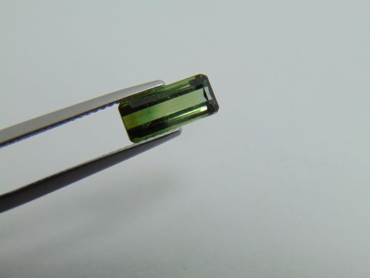 1,50ct Turmalina Bicolor 10x5mm