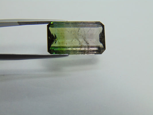 Turmalina Bicolor 16,65 ct 21x12mm