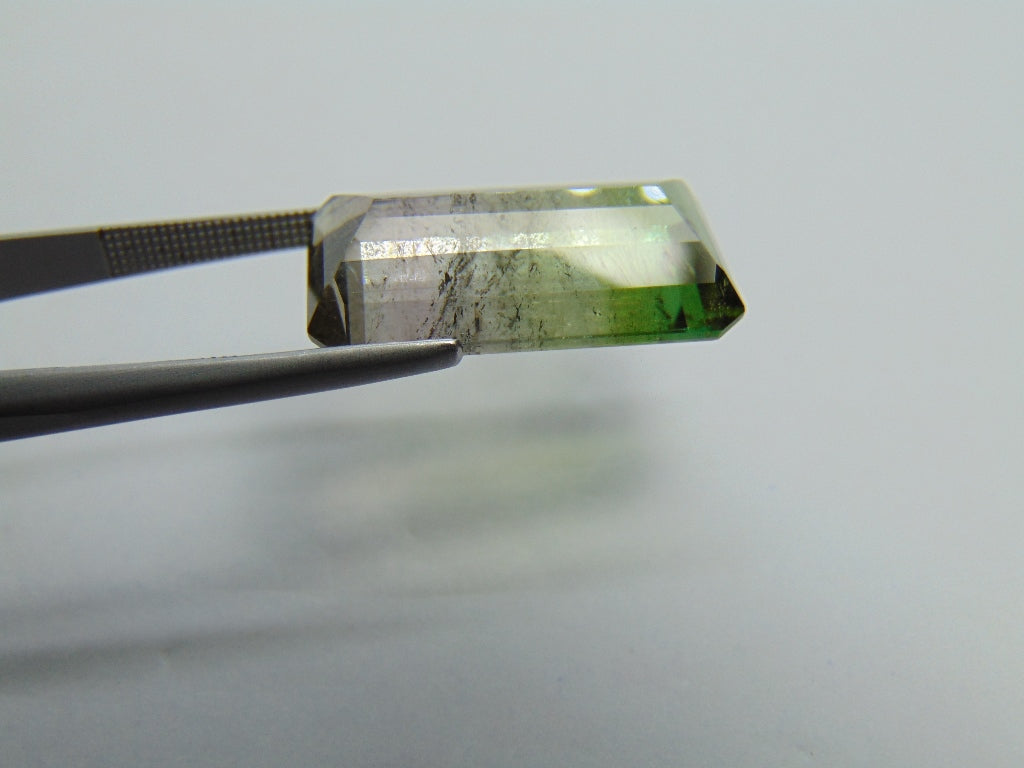 Turmalina Bicolor 16,65 ct 21x12mm