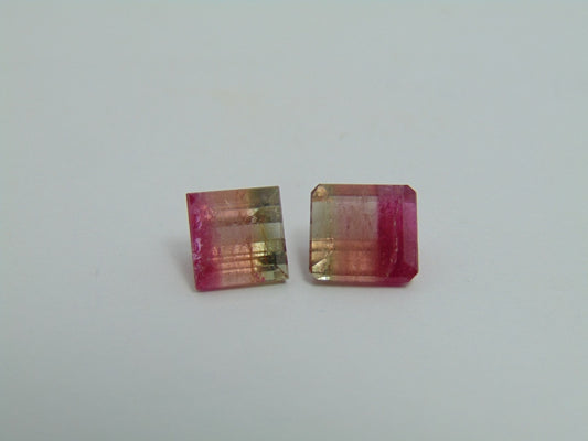 6.05cts Tourmaline (Bicolor)