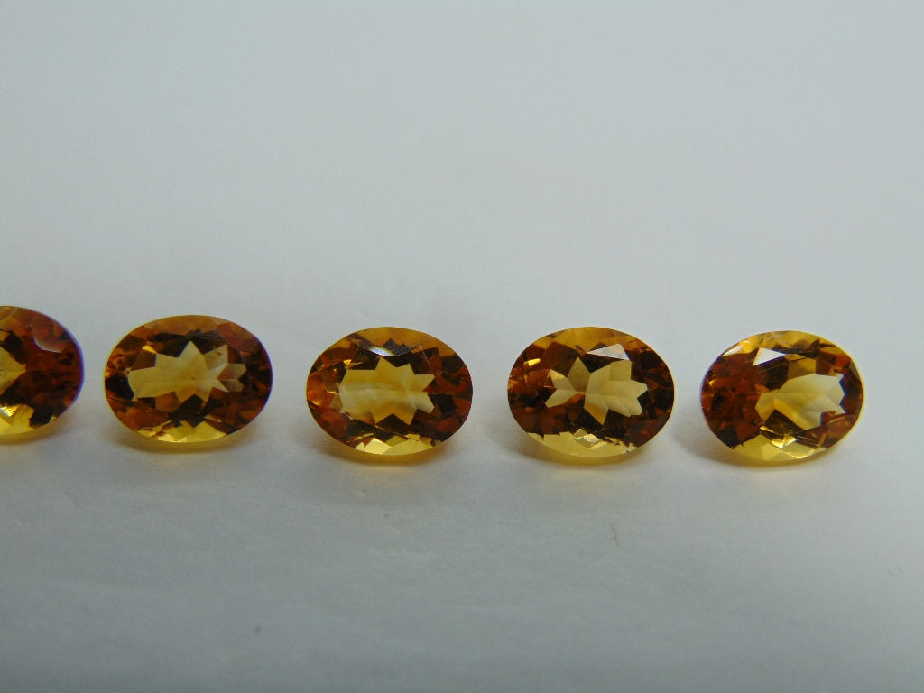 Citrino calibrado 9x7mm, 10.40ct