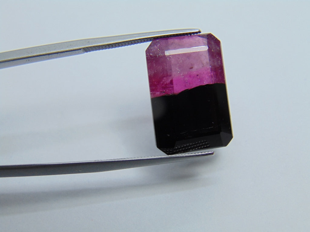 15.20ct Tourmaline Bicolor 18x12mm