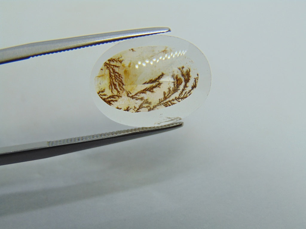 6,10ct Dendrito 16x12mm