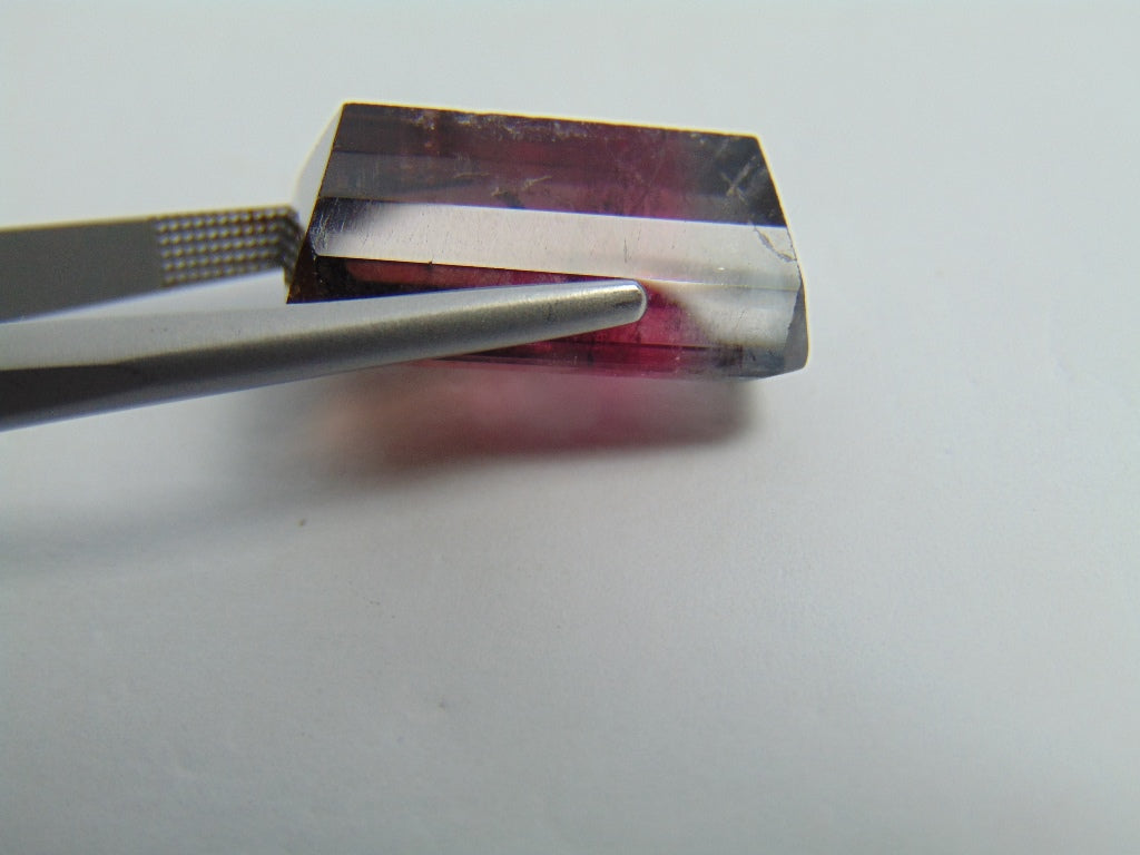 Turmalina Tricolor 21,30 ct 19x13mm