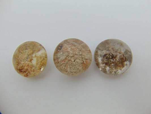 117,70 cts Quartzo (Lodolita)