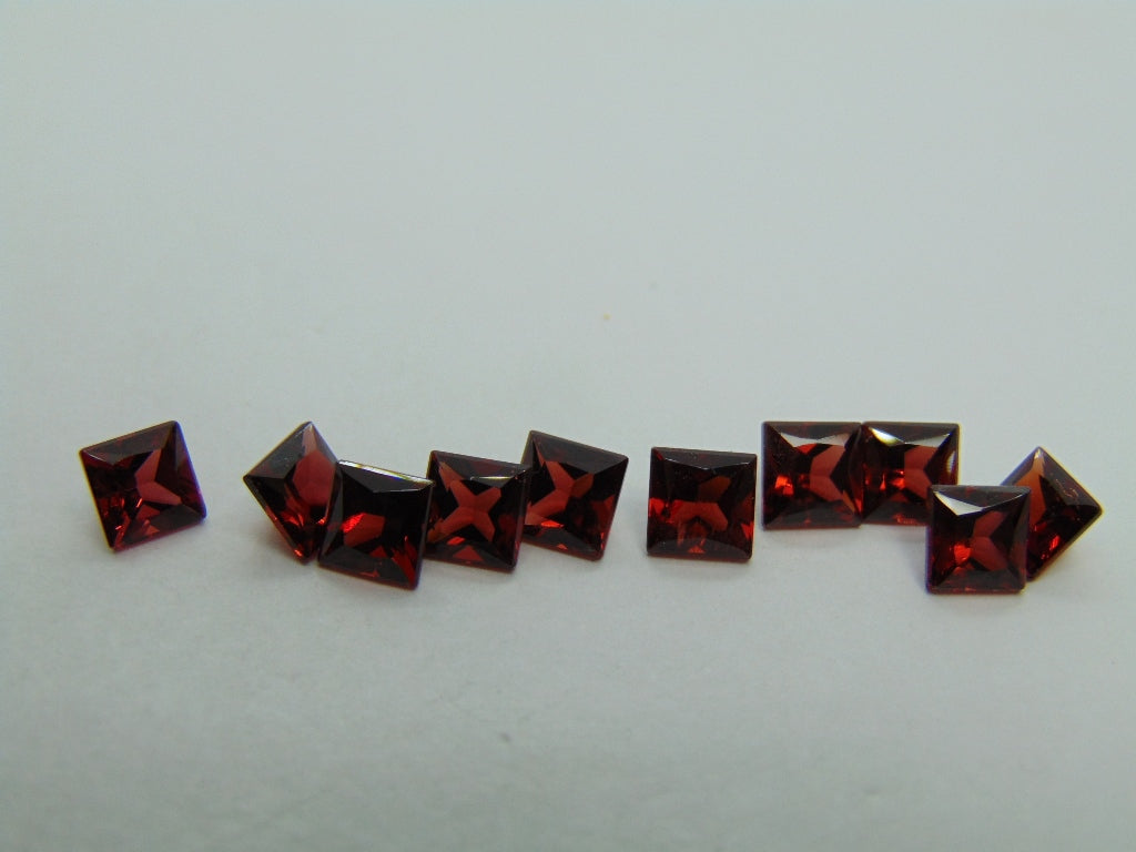 8cts Garnet (calibrado)