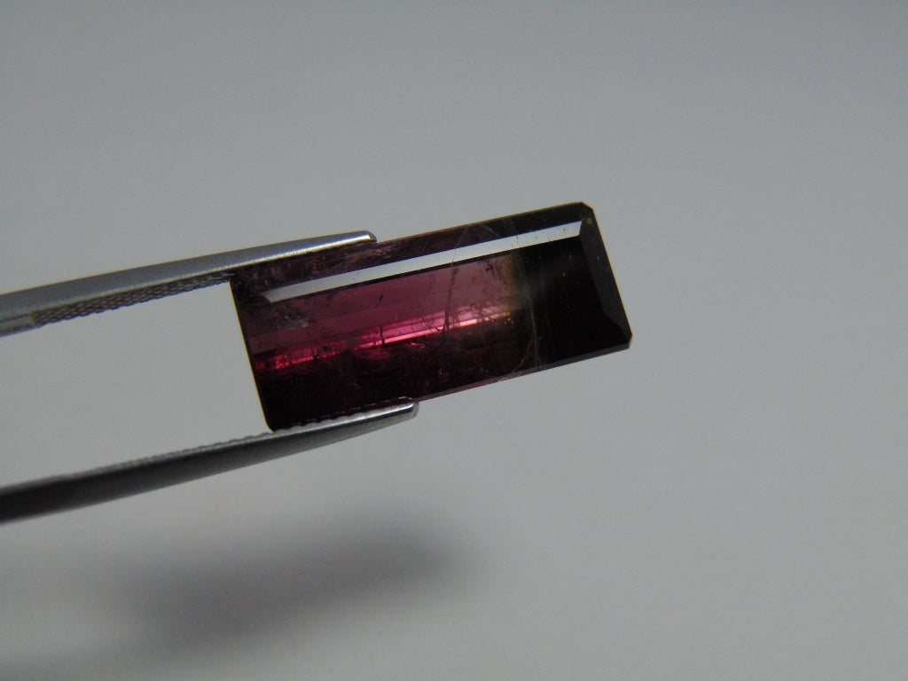 Turmalina 9,80cts (Bicolor)