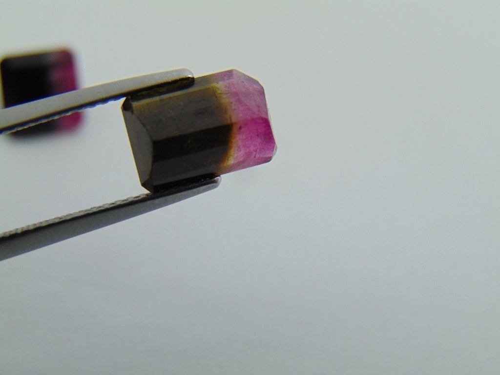 7,20cts Turmalina (Bicolor)