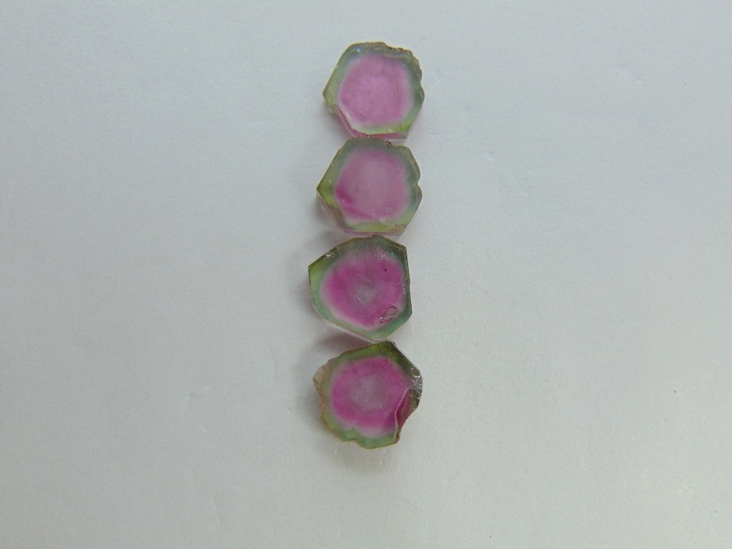 22.25cts Watermelon Tourmaline