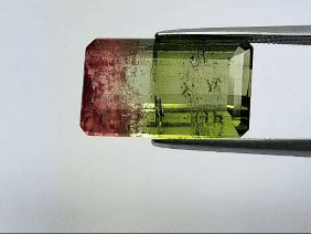 10.75ct Turmalina Bicolor 18x10mm