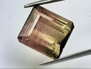 11.90ct Tourmaline Bicolor 13x12mm