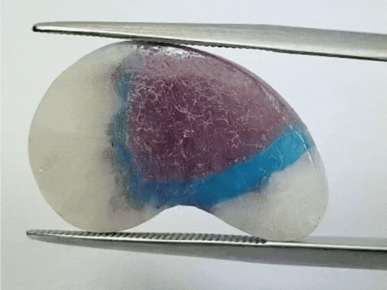 12.70ct Quartzo Com Turmalina 23x13mm