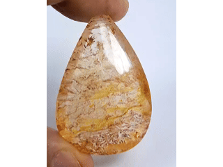 59.30ct Dendrita 43x29mm
